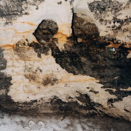  Frederick Vidal – visual research