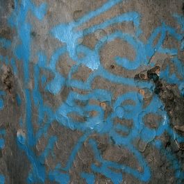 Platane remix Frederick Vidal – visual research