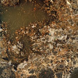  Frederick Vidal – visual research