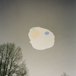  Frederick Vidal – visual research