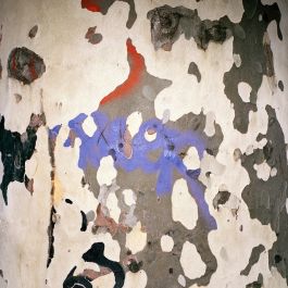  Frederick Vidal – visual research