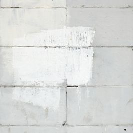  Frederick Vidal – visual research