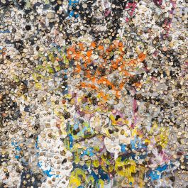  Frederick Vidal – visual research