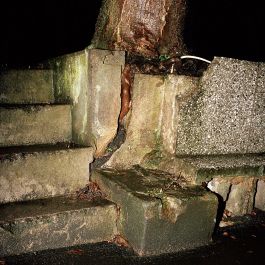  Frederick Vidal – visual research