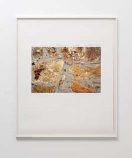  Frederick Vidal – visual research