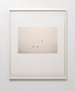  Frederick Vidal – visual research