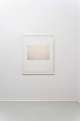  Frederick Vidal – visual research