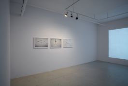  Frederick Vidal – visual research