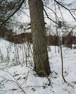  Frederick Vidal – visual research