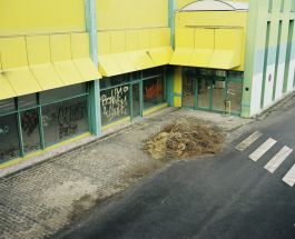  Frederick Vidal – visual research