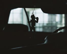  Frederick Vidal – visual research