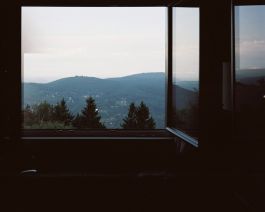  Frederick Vidal – visual research