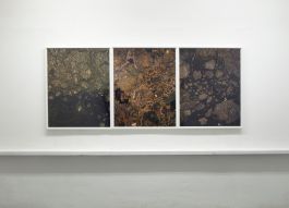  Frederick Vidal – visual research