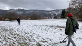  Frederick Vidal – visual research