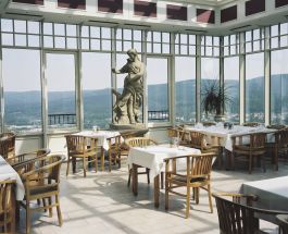  Frederick Vidal – visual research