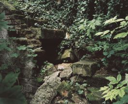  Frederick Vidal – visual research