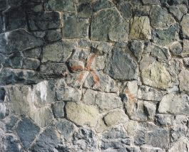  Frederick Vidal – visual research