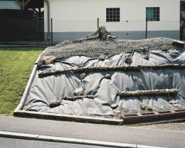  Frederick Vidal – visual research