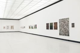 Württembergischer Kunstverein Stuttgart Frederick Vidal Entropia Frederick Vidal – visual research