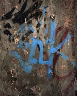 Platane remix_Tattoo ink Frederick Vidal – visual research