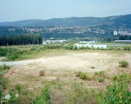  Frederick Vidal – visual research