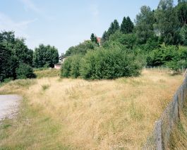  Frederick Vidal – visual research