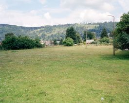  Frederick Vidal – visual research