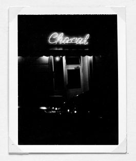  Frederick Vidal – visual research