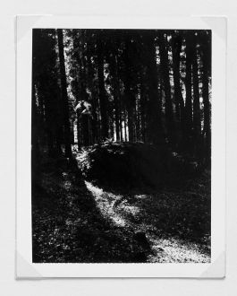  Frederick Vidal – visual research