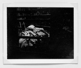  Frederick Vidal – visual research