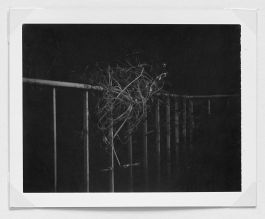  Frederick Vidal – visual research