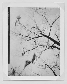  Frederick Vidal – visual research