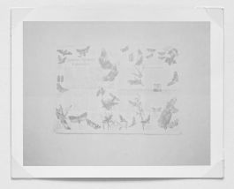  Frederick Vidal – visual research