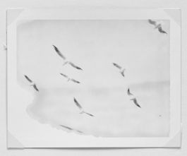  Frederick Vidal – visual research