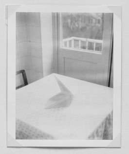  Frederick Vidal – visual research