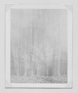  Frederick Vidal – visual research