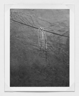  Frederick Vidal – visual research