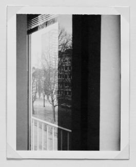  Frederick Vidal – visual research