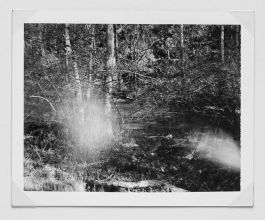  Frederick Vidal – visual research