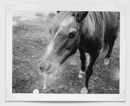  Frederick Vidal – visual research