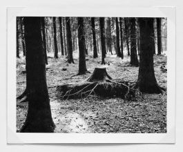  Frederick Vidal – visual research