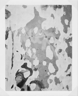  Frederick Vidal – visual research