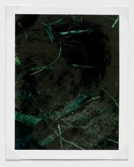  Frederick Vidal – visual research