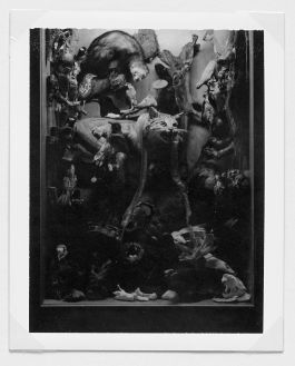  Frederick Vidal – visual research