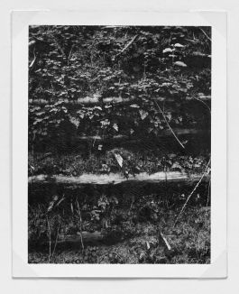  Frederick Vidal – visual research