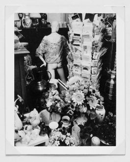  Frederick Vidal – visual research