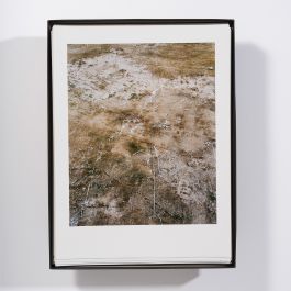  Frederick Vidal – visual research