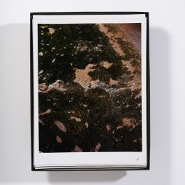  Frederick Vidal – visual research