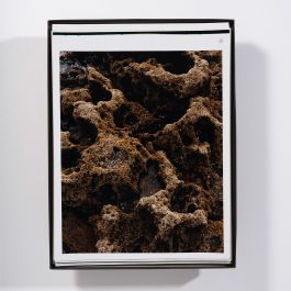  Frederick Vidal – visual research