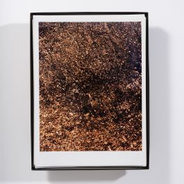  Frederick Vidal – visual research